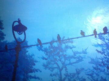 LISBOA SOBRE EL ALAMBRE